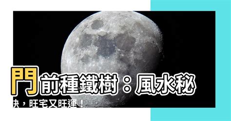 門前種鐵樹